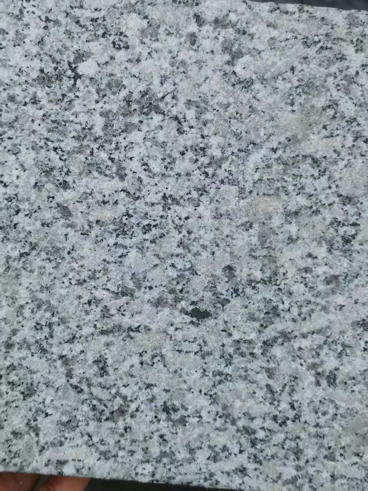 赤峰 芙蓉白火烧面