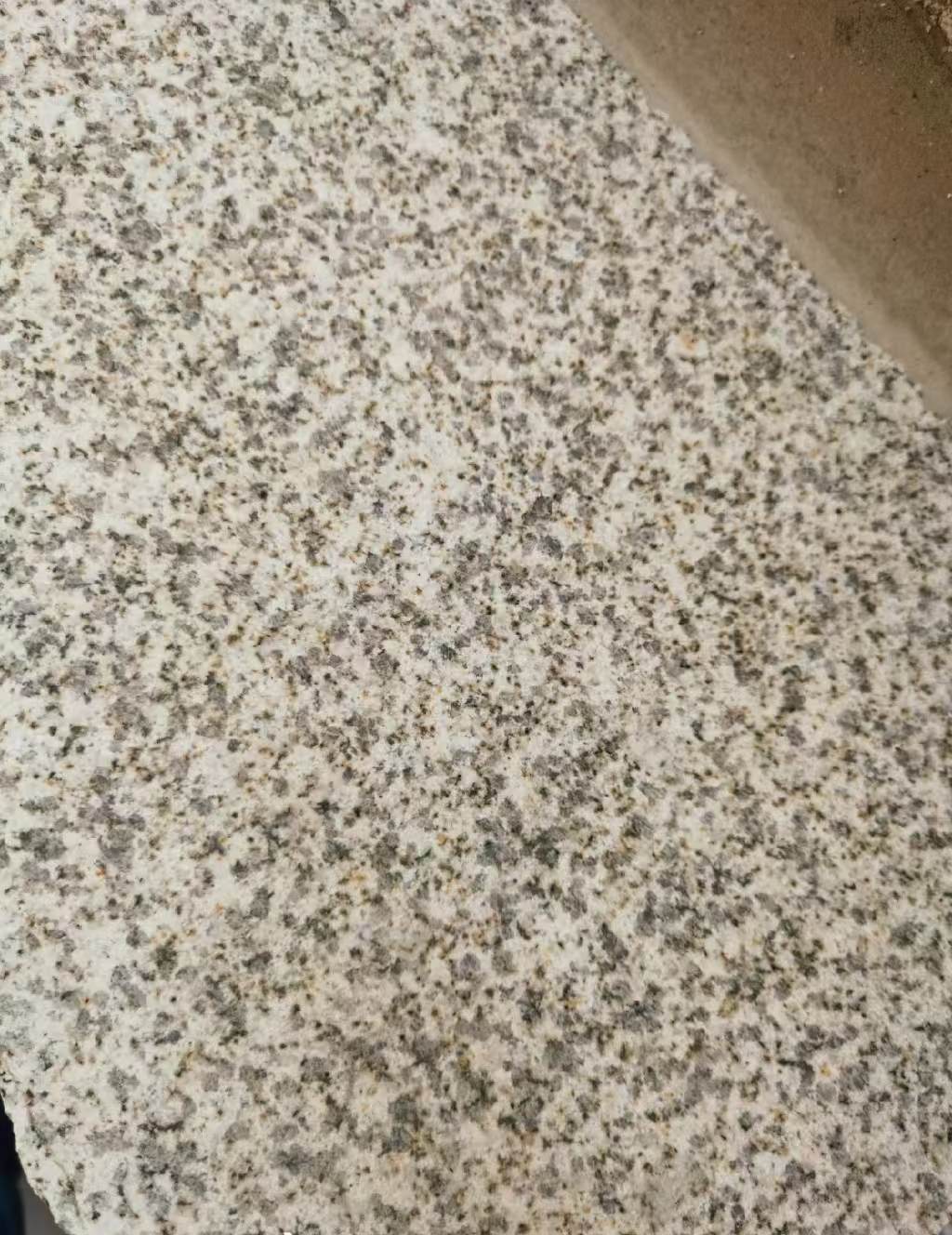 赤峰 黄金麻中黄光面